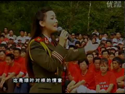 谭晶《绿叶对根的情意》 室外喇叭的演唱
