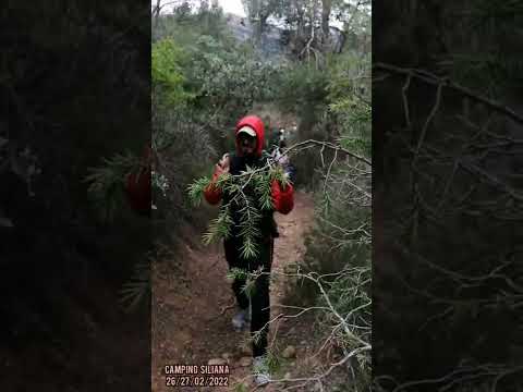 كامب جبل السرج سليانة 2022