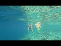 Nova Maldives - House reef shark gopro