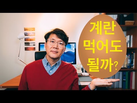 계란: 바르게 알고 먹자!! (기능의학,영양의학,예방의학)