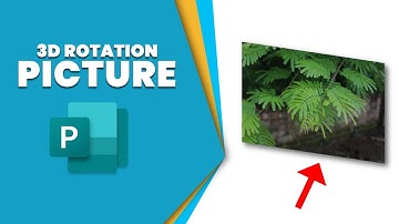 How to add 3D Rotation to picture in Publisher