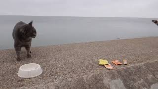DSCN1157