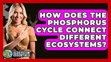How Does The Phosphorus Cycle Connect Different Ecosystems? - Ecosystem Essentials