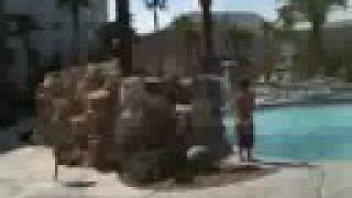 Avi Pool