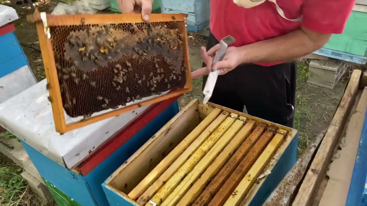 Nема веќе легло… 22.10.2023