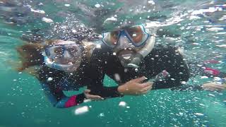 Shark Encounter In Durban