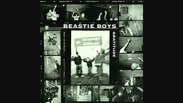 BEASTIE BOYS - Honky Rink [from the 1992 U.S. "Gratitude" cd maxi-single] [audio]
