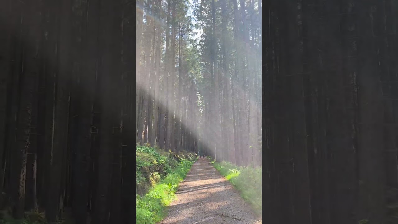 Mourne Mountains Half Marathon 2024 Northern Ireland 