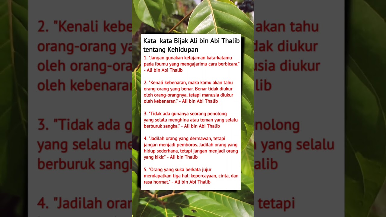 kata bijak Ali bin Abi Thalib tentang kehidupan 