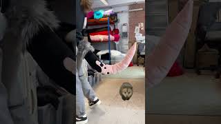 Who doesn't love Possums! 🤩