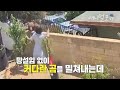 맨손으로 곰을 밀쳐내 반려견을 지킨 17세 소녀 | KBS 굿모닝 대한민국 라이브 210709 방송