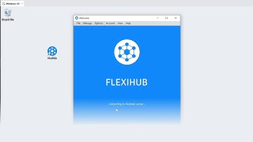 VMware USB Passthrough - How-To Guide To FlexiHub