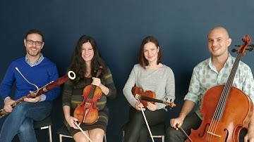 Quartets for Bassoon and Strings