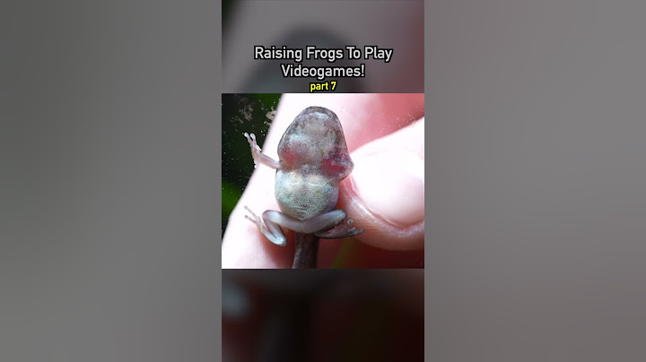 Raising Frogs to Play Videogames! pt 7 🐸 #ecosystem #wildlife #nature
