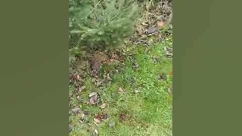 Ardumower vision-based localization: outdoor augmented reality