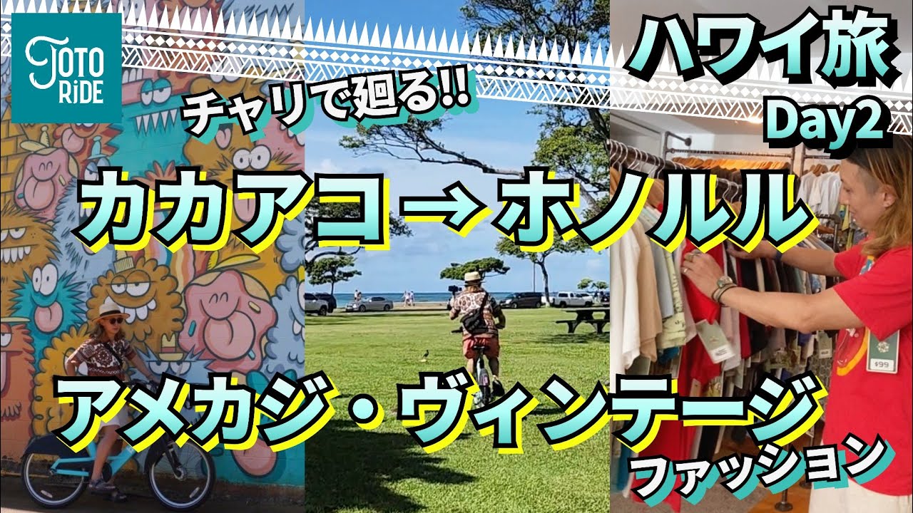 HAWAIIコア木製ビンテージ器(希少素材) 憧れのハワイアン・コア路｜連載コラム｜木材〜トーンウッドの知られ