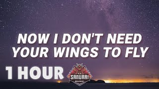 [ 1 HOUR ] Cash Cash -  Now i don't need your wings to fly Hero (Lyrics) feat Christina Perri