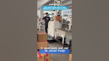 How much does such a fast palletizing robot cost exactly?