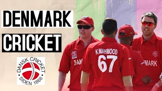 🇩🇰 Future Cricket in Denmark | Why Cricket not Popular in This Beautiful Nation? \ NISHANKAR TV