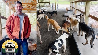 Introducing high energy dogs to the pack is never easy but staying calm is the key | Lee Asher by The Asher House 137,059 views 1 month ago 11 minutes, 22 seconds