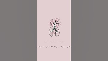 {قَالَ رَبِّ ٱشۡرَحۡ لِی صَدۡرِی} || سورة طه || القارئ محمد صديق المنشاوي
