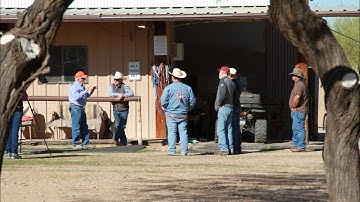 Ask Steve: Mule and Donkey Questions Answered