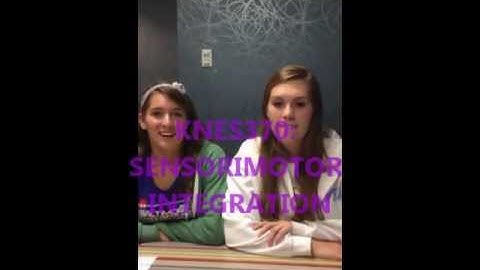 KNES370 sensorimotor integration movie.wmv