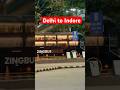 Zingbus Maxx Volvo 9600s #automobile #bus #viral #travel #publictransport #volvo #driver #shorts
