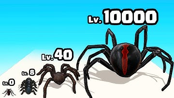 Can I evolve a MAX LEVEL INSECT SPIDER? - Insect Evolution