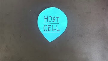 RECOMBINANT DNA TECHNOLOGY