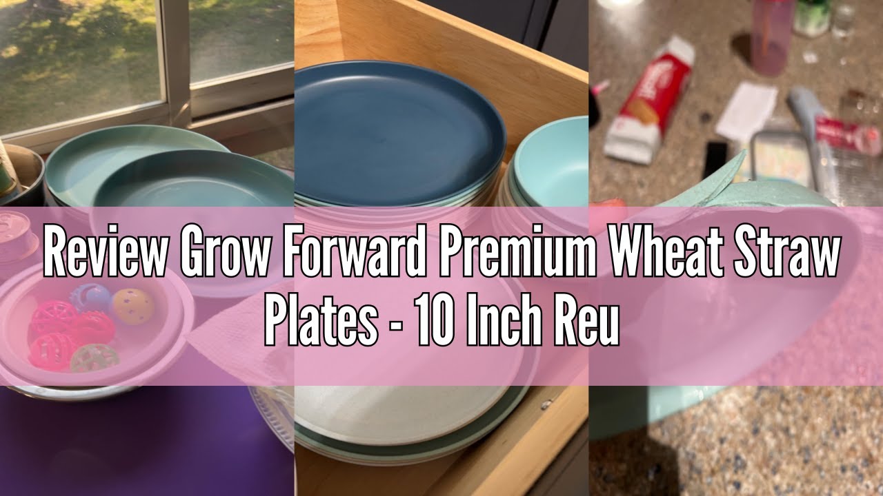 Review Grow Forward Premium Wheat Straw Plates - 10 Inch Reusable Hard Plastic Dinner Plates Set of