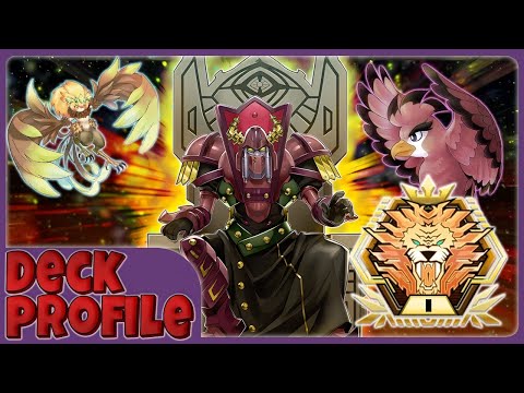 yugioh best blackwing deck Complete Custom for Yu-Gi-Oh! 5D's black feather Deck 2014 /