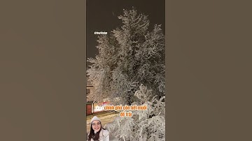 Vất vả mùa tuyết rơi ở Đức - 11giờ đêm vẫn phải đi dọn tuyết - Lạnh -10*C - Nhưng cảnh vẫn quá đẹp