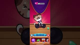 Cat Game | Magic Show Room Showcase