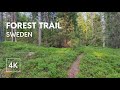4K Virtual Walk in a Lush Swedish Forest