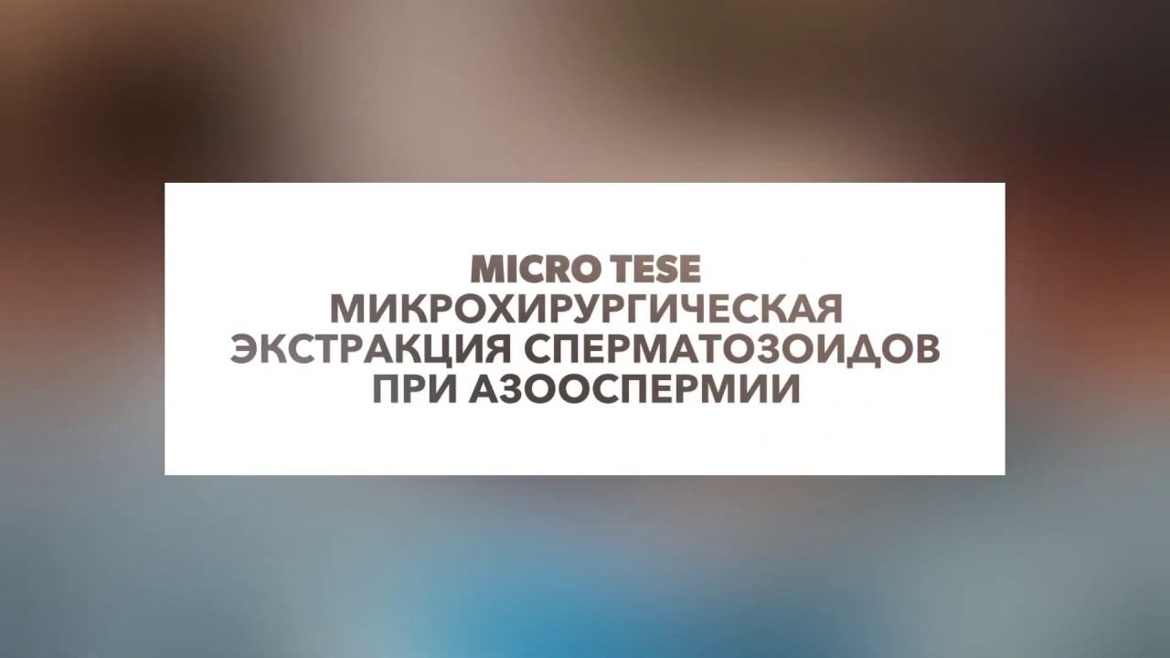 Микро тезе. Микро Тезе при азооспермии. Биопсия яичка при азооспермии.