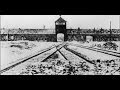 Auschwitz by saphir ising
