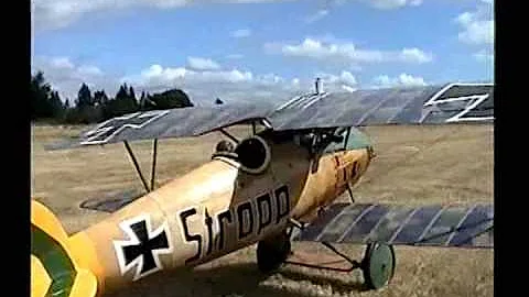 Proctor Albatros in Action at Dawn Patrol