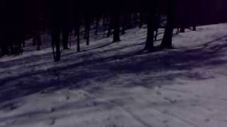 Freshgirl Crashes Sledding