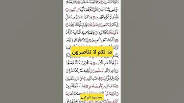 ما لكم #قران #قرآن #الصافات  #تلاوات_خاشعة #اكسبلور #المنشاوي #الوكيل #خشوع #راحة_نفسية #fypシ