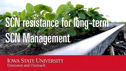 SCN resistance for long-term SCN Management