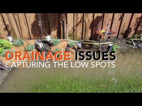 Capturing the front and back yard storm water drainage issues. - YouTube