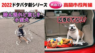 2022狂犬病予防注射会場のドタバタ劇・其の13 高岡市役所編