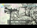 命救った防災無線 遠藤未希さんの全音声見つかる