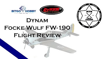 Dynam Focke Wulf FW-190 Flight Review!