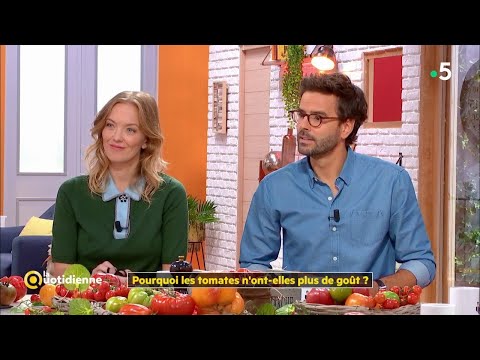 Vidéo: Pourquoi Les Tomates Rêvent-elles?