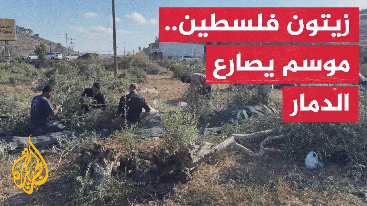 ������ ������ ������ ���� ����� ������� ������ ��������
 - نشر قبل 35 دقيقة
