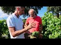 Harry's Farm visits Chateau Léoube to see how they create their Rosé wine