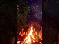 🇺🇦 “Rosla” — Epic Ukrainian Folk Drum & Bass Remix