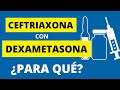 CEFTRIAXONA CON DEXAMETASONA ¿PARA QUÉ?